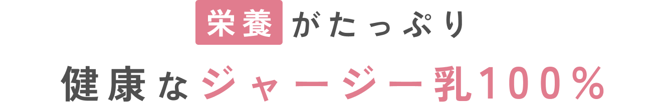 栄養がたっぷり健康なジャージー乳100%