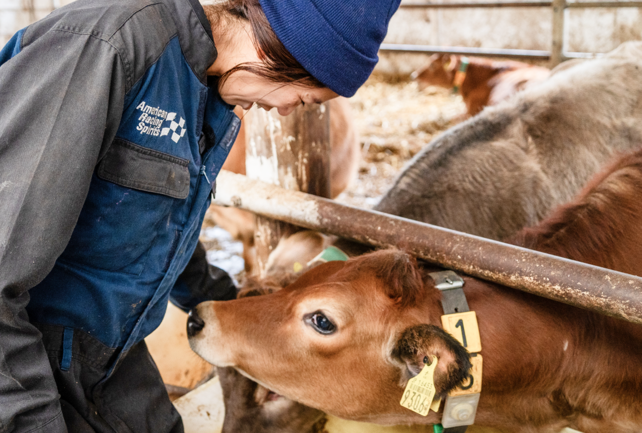 栄養がたっぷり