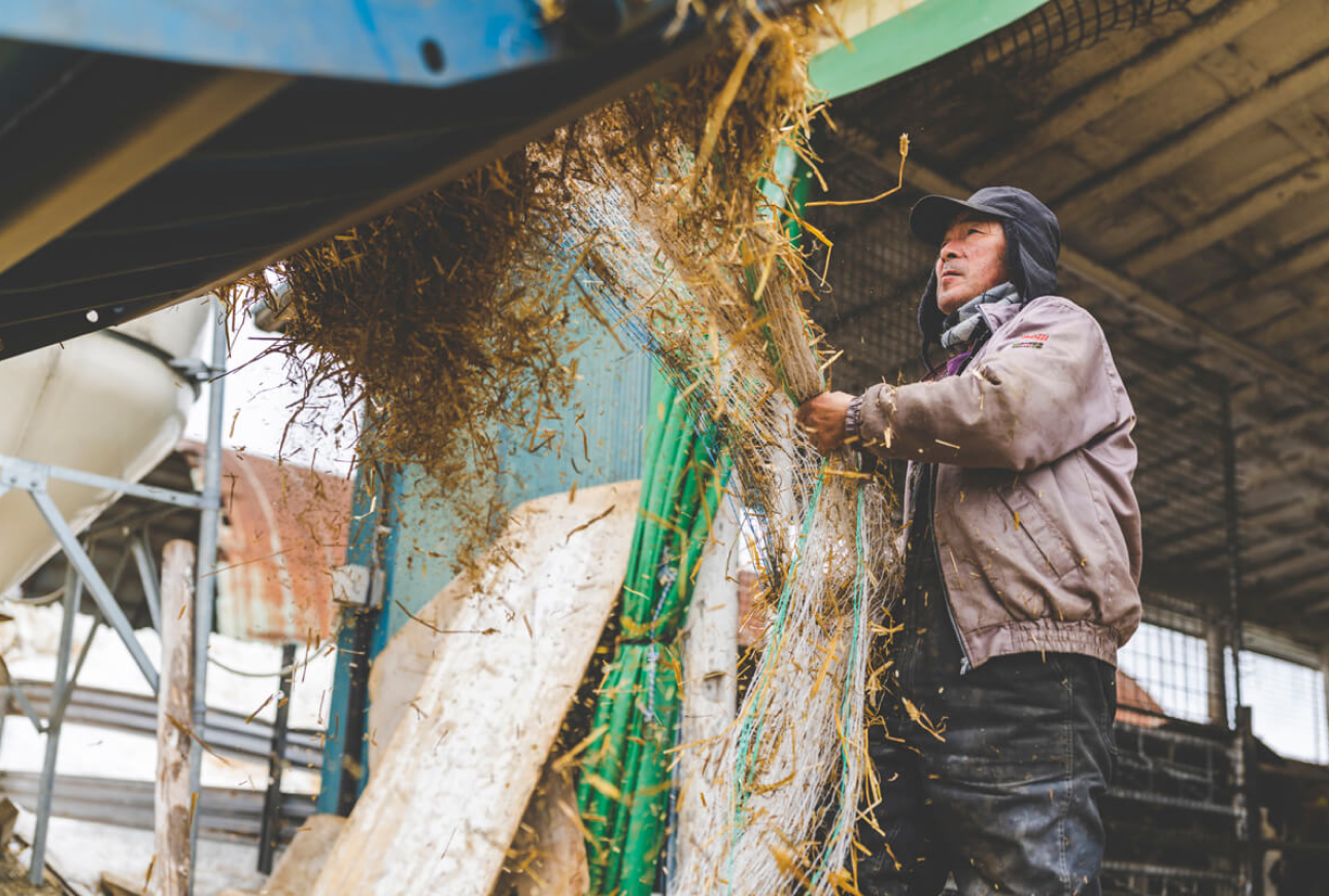 栄養がたっぷり